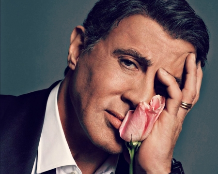 Sylvester Stallone - actor, blue, Sylvester Stallone, flower, pink, man, male, barbat, face