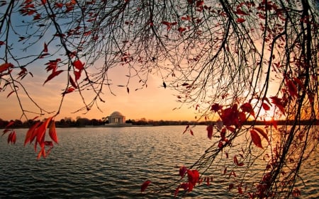 jefferson memorial across the tidal basin