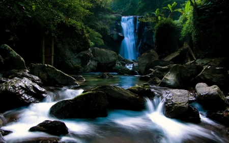 Waterfall - river, cascade, forest, stones, rocks