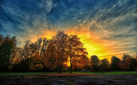 Beautiful Sunset - sky, forest, clouds, trees, sunset, nature