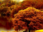 Autumn Forest Lake