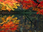 Autumn Lake