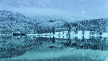 Dreamy winter - lake, forests, winter, nature