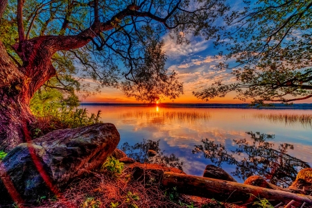 Nature's splendor - branches, lake, sky, trees, summer, shore, sunset, nature, reflections, amazing, beautiful, splendor