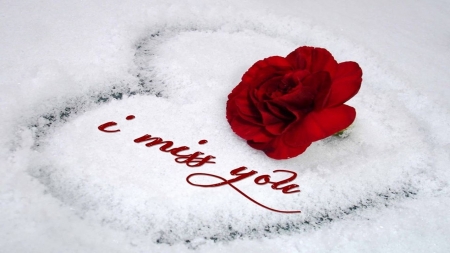 Miss U - heart, snow, letters, flower, wallpaper