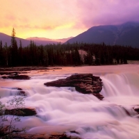 Autumn Falls