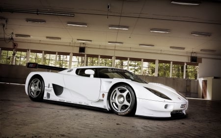 koenigsegg ccgt - sports, race, koenigsegg, european