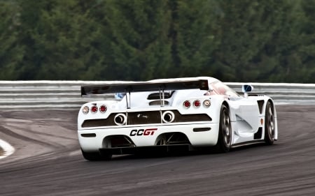 koenigsegg ccgt - sports, european, koenigsegg, race