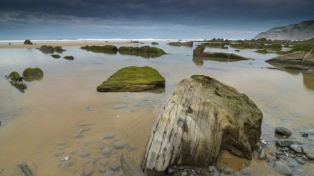 moss covered stones on a beach - beach, moss, waves, sea, rocks