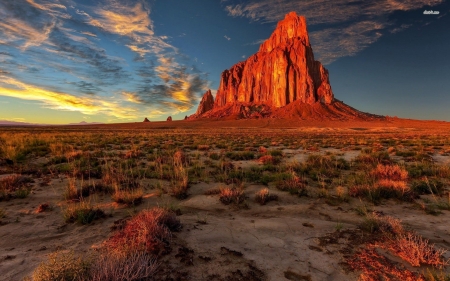 sunset colours in chichauhaun desert - desert, chichauhaun, rock, grass, sand