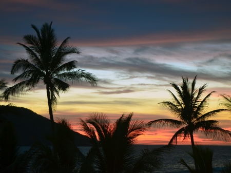 Sea Sunset - nature, trees, clouds, sunset, sea, palm