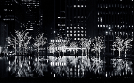 lit trees by a pool in new york city at night