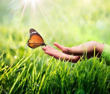 :) - hands, butterfly, abstract, soft