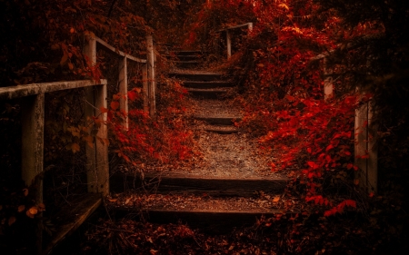 Autumn Path - leaves, stairs, fence, fall