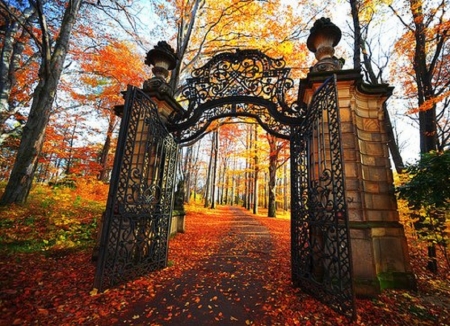 The Gate to Fall - nature, fall, gate, park, leaves