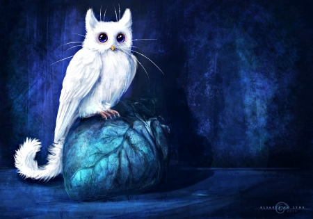 The catowl