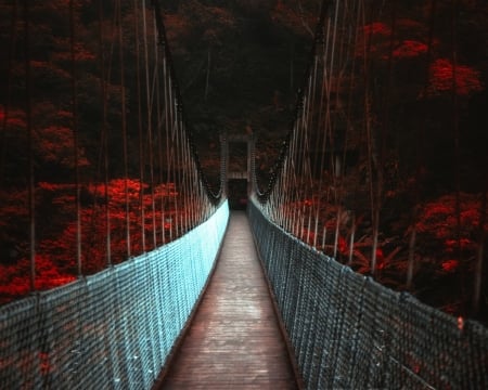 Autumn Bridge - fall, dark, forest, trees