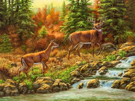 Follow me! - beautiful, creek, stream, forest, follow, fall, autumn, deer, painting, art