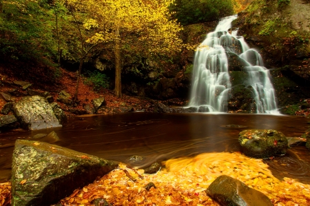 Autumn waterfall - fun, autumn, trees, peaceful, stream, waterfall, rocks, calm, fall, cool, river, serenity, nature, forest, beautiful, leaves, stones