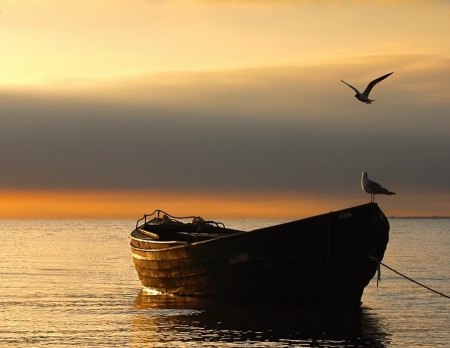 Enchanting view - cloud, sea, bird, boat