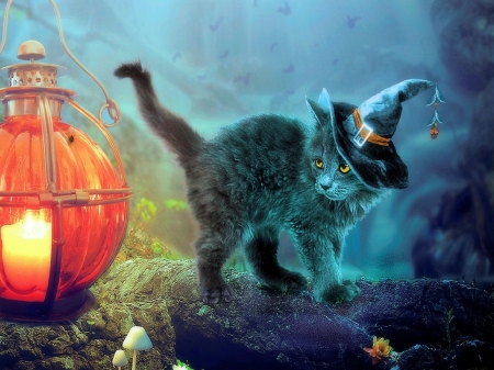 Halloween - mushrooms, autumn, pumpkin, hat, animals, witchs hat, halloween, flame, lantern, digital art, holiday, candle, cat, kitty, kitten, love four seasons, cats, witch cat, fall season