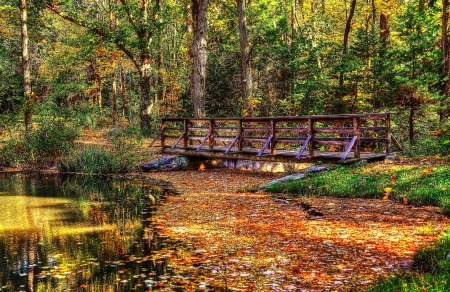 Autumn Bridge - season, fall, trees, river, leaves, hdr, colors