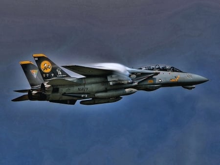 the f-14 tomcat hdr - plane, gray, military, hdr, contrails