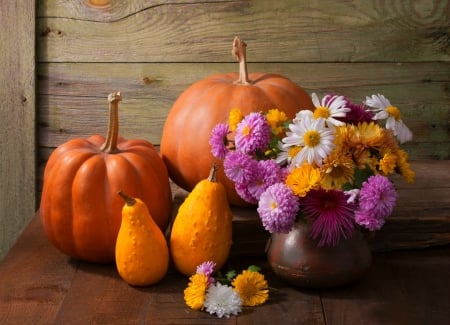 Autumn Still Life - autumn, bouquet, still life, vase, gourds, wood, pumpkins, fall, table, flowers, daisies