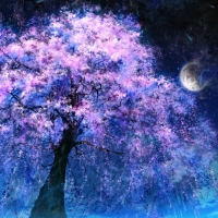 Cherry tree and full moon