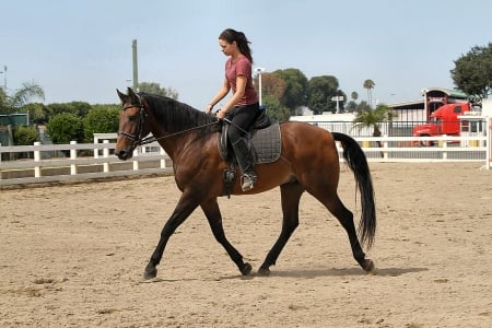 Steady Boy - style, girls, western, women, models, ranch, cowgirls, horses, brunettes, fun, female, boots