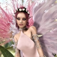 Sweet Fairy