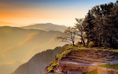 magnificent mountain top hdr - morning, trees, cliff, top, mountains, hdr, mist