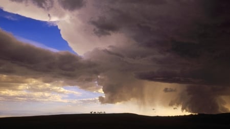 horses on a hilltop in a looming storm - horses, hill, silouhettes, clouds, storm