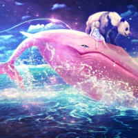 The pink whale