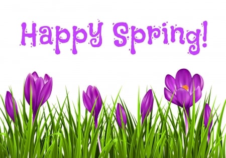 Happy Spring! - flower, purple, pink, spring, by cehenot, grass, white, card, crocus