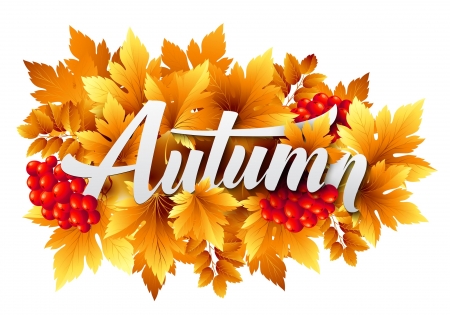 Autumn - autumn, red, word, berry, orange, card, leaf