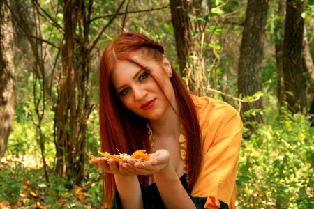 Beauty - autumn, girl, forest, leaves, model