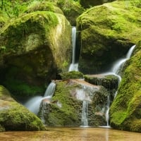 Mossy Waterfall in the Black Forest, Germany