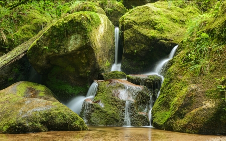 Mossy Waterfall in the Black Forest, Germany - mossy, nature, waterfall, germany, rocks