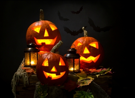 Halloween Jack O' Lanterns - jack o lanterns, halloween, autumn, bats, fall, lanterns, leaves