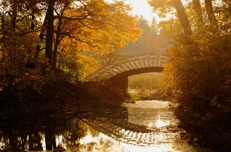 Autumn Riverside - fall, river, trees, season, bridge, leaves