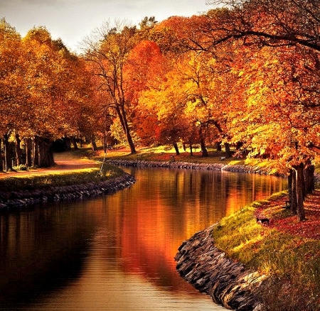 Autumn River  Stockholm, Sweden - sweden, nature, river, autumn