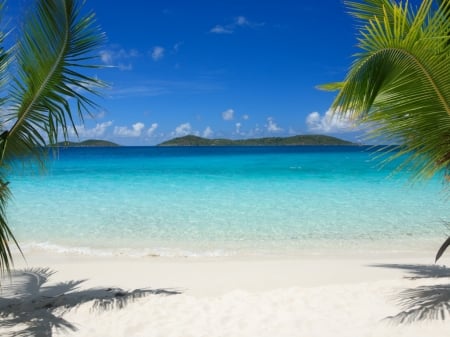 tranquil paradise - palm trees, sea, beauty, summer