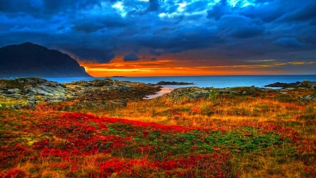 Beauty of Nature - flowers, sky, sea, clouds