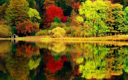 Autumn reflections - autumn, lake, trees, forest, reflection, beautiful, river, colorful