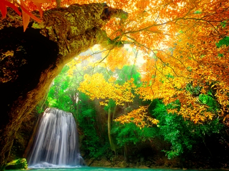 Autumn tree - autumn, waterfall, foliage, fall, forest, beautiful, leaves, colors, golden