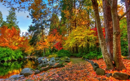 Autumn Colors in the Park - autumn, trees, water, park, path, rocks, nature, fall, walkway, leaves, tree, pond