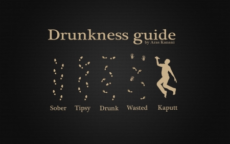 Drunkness guide - fun, funny, druk, test