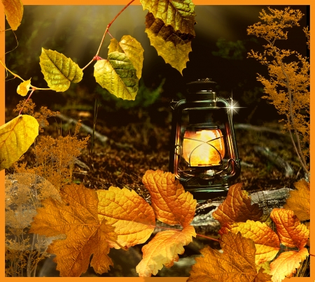 Lantern - nature, autumn, lantern, leafs