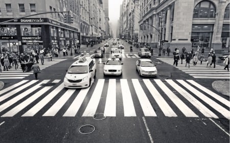 manhatten avenue in black and white - avenue, skyscrapers, intersection, traffic, city, BW